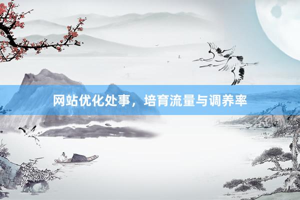 网站优化处事，培育流量与调养率